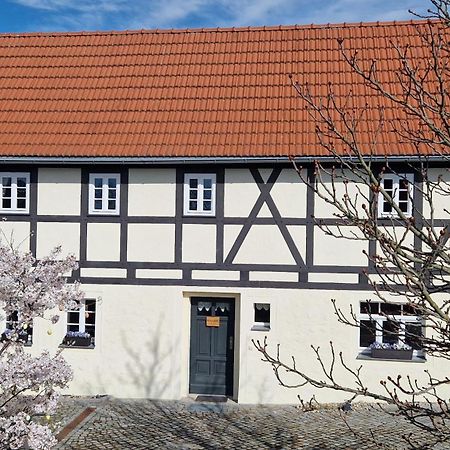 Winzerglueck Apartman Weinböhla Kültér fotó